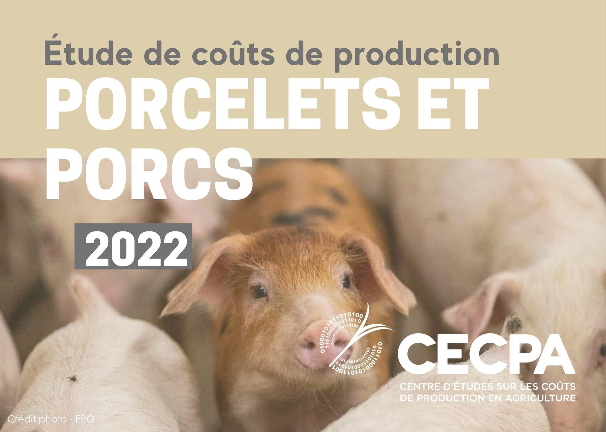 Études de coûts de production : ÉTUDES DE COÛTS - PORCELETS ET PORCS 2022